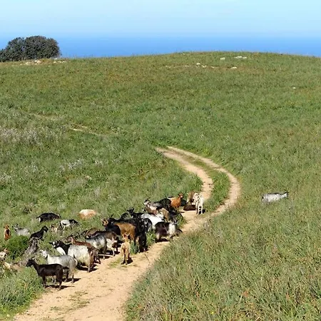 Ricciu Labellise Ecologique , 3 Epis Vue Mer Casa de Férias
